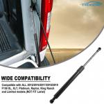 China Truck Lift Assist Tailgate Support Struts Fit 2015-2019 F150 Pickup Tailgate EZ Down factory