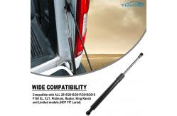 China Truck Lift Assist Tailgate Support Struts Fit 2015-2019 F150 Pickup Tailgate EZ Down supplier