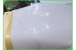 China Biodegradable Single PE Laminated Coated Paper Jumbo Roll For Food Wrapping Paper supplier
