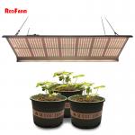 IP65 100w 320w Full Spectrum Quantum LED Grow Lights for sale