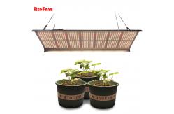 China IP65 100w 320w Full Spectrum Quantum LED Grow Lights supplier