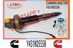 China Y431K05417 QSK19 Diesel Engine Common Rail Fuel Injector Y431K05558 4964171  Y431K05420 supplier
