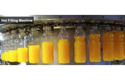 China High Filling Speed PET Bottle Hot Filling Juice Bottling Equipment Hot Filling Machine supplier