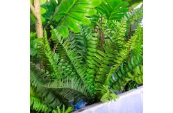 China Simulation Artificial Potted Floor Plants Silk Tree Bedroom Decoration supplier
