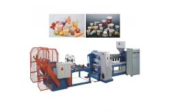 China 380V Double Screw Plastic Sheet Extrusion Lines Automatic PP Sheet Extruder supplier