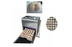 China High Resolution Food Inkjet Printer , Eggs Expiry Date Printing Machine  supplier
