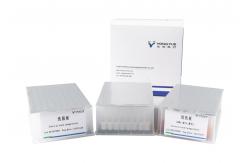China Lab Use Pre Filled Nucleic Acid Extraction Purification Detection Kits supplier