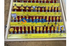 China TOP CNC Machine Custom End Mills ODM Support with Customized Shank Diameter supplier