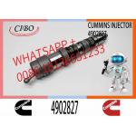Injector Nozzle Assembly 6560-11-1114 4902827 4077076 4062090 6560-11-1110 QSK19 QSK23 QSK60 Engine Series for sale