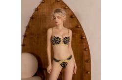 China Leopard Print Womens Underwear Sets Small Breasts Bra And Panty Sets Sagging Proof supplier