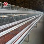 10000 Layers Egg Battery Chicken Cage In Poultry Farming for sale