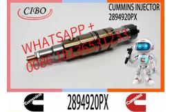 China FUEL INJECTORS 2894920 2894920PX 2894920 2897320 1948565 1933613 2029622	2030519 supplier