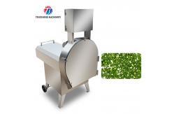 China 2.25KW 140KG Large commercial cutting machine vegetable and fruit cutting machine supplier