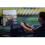 Ergonomic Driving Sim Cockpit For Playstation 4 Pro for sale