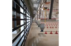 China Broiler Automatic Feeder Chain Feeding System Poultry supplier