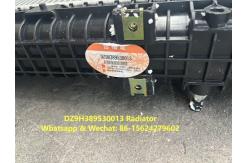 China Radiator Assembly DZ9H389530013 HOWO Truck Parts Engine Radiator Coolant Radiator supplier