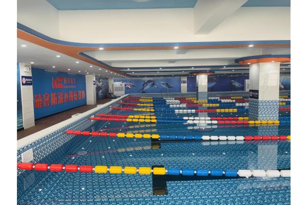 Outdoor Recyclable Swimming Pool For Adults Energy Saving Customized