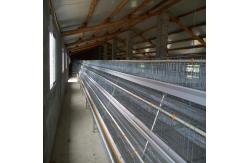 China 4 Layers / Cell Chicken Poultry Cage Automatic Ventilation Cooling System supplier