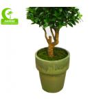 Interior Decoration Fiber Glass Trunk Artificial Ficus Tree H140cm