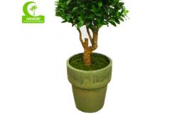 China Interior Decoration Fiber Glass Trunk Artificial Ficus Tree H140cm supplier