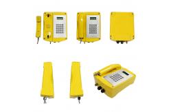 China ATEX Resisttel IECEX Explosion Proof VoIP Telephone Wall Mounted supplier