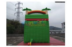 China Pvc Tarpaulin Kids Inflatable Water Slide With Pool / Commercial Bounce House Water Slide supplier