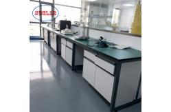 China Customizable Chemistry Lab Workbench Laboratory Workstation High Safety Environment supplier