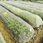 50 Mesh PE Garden Netting For Vegetables Fruit Trees Protection