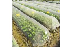 China 50 Mesh PE Garden Netting For Vegetables Fruit Trees Protection supplier