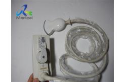China Biosound Biosound CA541 Convex Ultrasound Transducer Medical Apparatus supplier