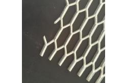 China Heavy-Duty Galvanized Expanded Metal Mesh Panel for Walkways and Fencing supplier