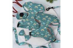 China Reversible Small Dog Harness And Leash Set Luxury Fashion Dog Walk Set supplier