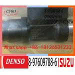 Neutral 8-97609788-6 095000-6366 ISUZU Fuel Injector