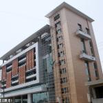 Light Weight Wooden Aluminum Composite Panel 1000mm-2000mm Width for sale
