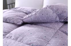 China Home 300T Satin 250g/M2 Duck Down Duvet supplier
