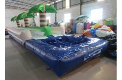 China Palm trees slope inflatable water slide 2017 China inflatable water slide with pool supplier