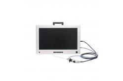 China All In One Veterinary Endoscope Image System 1000TVL supplier