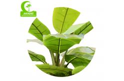 China Customized Banana Artificial Landscape Trees For Relax supplier