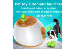 China Automatic Throwing Pet Indoor Ball Launcher Dogs Interactive Toy supplier
