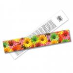 China Customized Plastic Plant 3D Lenticular Ruler 3D Animal Ruler Lenticular Print