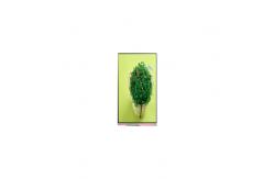 China in stock 6.6 inch PD066AJ-07A 720*1600 LCD Screen supplier