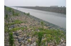 China Anticorrosion Green Gabion Wire Mesh Can Be Planted Revetment River supplier