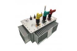 China Vertical Three Phase Power Transformer With De Energized Tap Changer suppliers supplier
