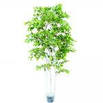 Ornamental Plant Artificial Radermachera Sinica Natural Greening For Home Decoration for sale