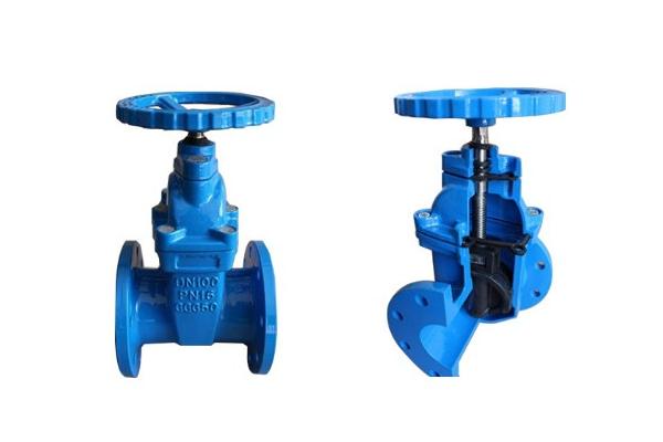 Flanged Cast Iron DN25 Resilient Seated Gate Valves Industrial Control Valves