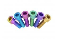 China Customized Titanium Hexagon Socket Head Screws DIN 912 M6 X 20mm Natural Customized supplier