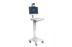 China Single Screen Medical Mobile Workstation Class I 1920x1080 iPS supplier