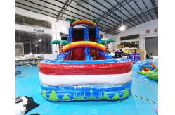 China Outdoor Palm Tree Bounce House Blow Up Pool Slide supplier
