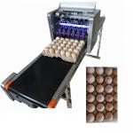 Convenient Moving Egg Code Printing Machine With Personalized Integration Frame for sale