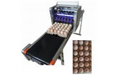 China Convenient Moving Egg Code Printing Machine With Personalized Integration Frame supplier